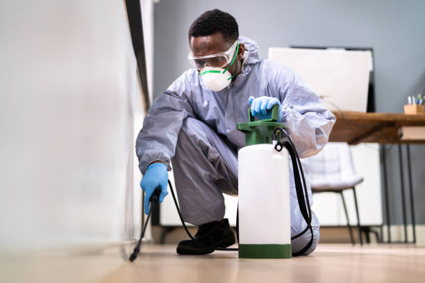 istock Pest Control Exterminator Man Spraying Termite Pesticide 1341381738
