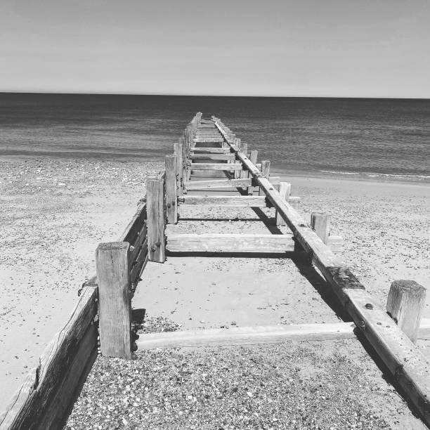 istock On the beach in black and white. 1341382130