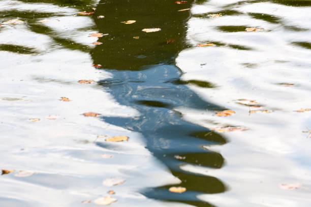 istock Abstract reflections on water with autumn leaves 1341383061