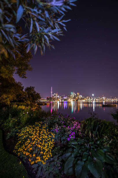 istock Toronto at night  Ontario Canada 1341383492