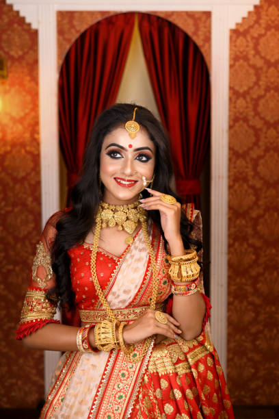 Portrait of very beautiful young Indian lady in luxurious costume with makeup and heavy jewellery posing fashionable in studio lighting indoor. Religious Lifestyle Festive Fashion. stock photo