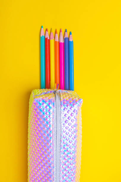 310+ Artist Pencil Case Stock Photos, Pictures & Royalty-Free
