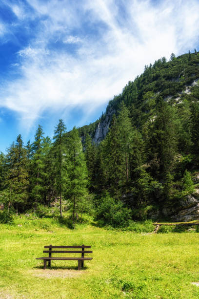 istock Wooden bench in the park. 1341390407