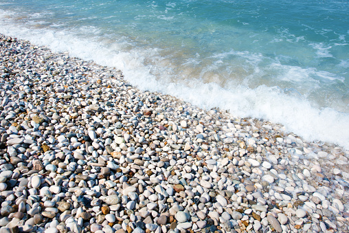 Seashell on the beach. Seascape background of empty sand beach, seashell, and blue ocean waves. Summer, vacation concept, copy space for the text