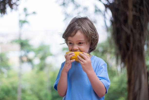 Portrait of funny little boy biting corn in park. Cute toddler enjoying fresh vegetable. Childhood, healthy eating, fresh food concept