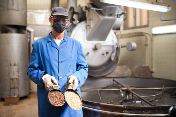 istock Man comparing roasted coffee beans in scoop 1341395984