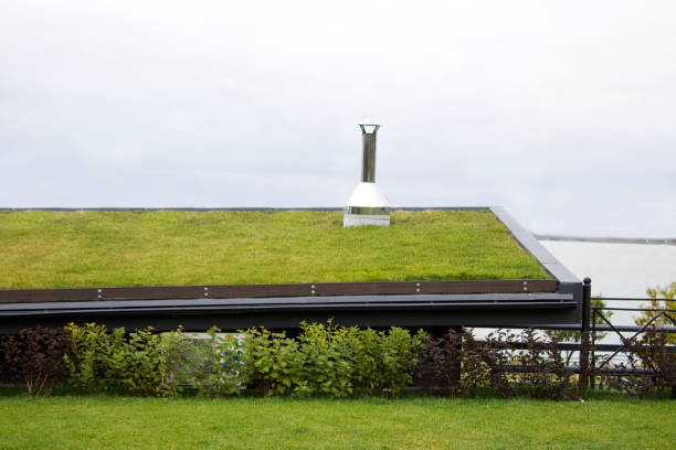istock Eco roof, a low building with grass on the roof 1341396264