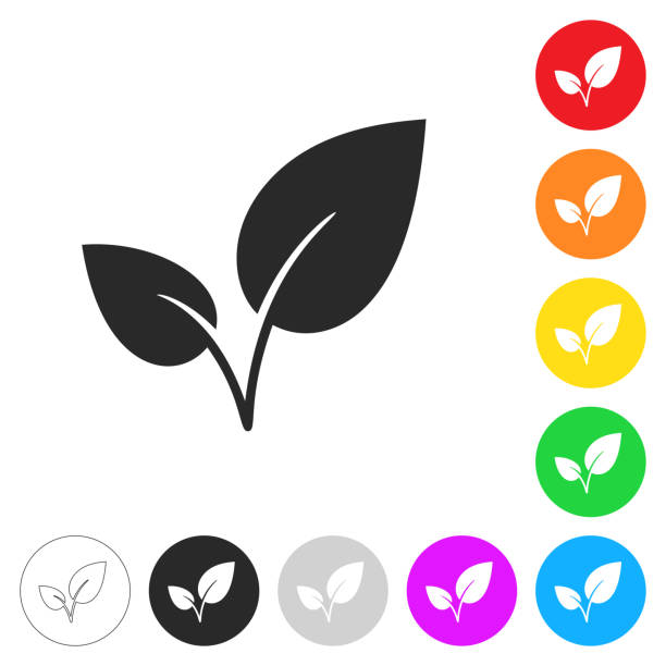листва. плоские иконки на кнопках разных цветов - tea crop leaf freshness organic stock illustrations