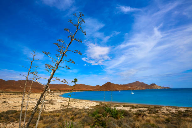 Almeria Playa de los Genoveses beach in Cabo de Gata Spain