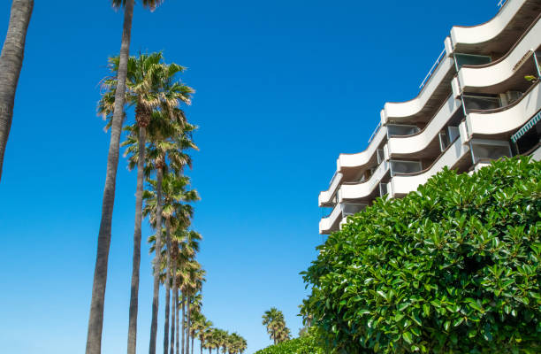 istock Beach front palm trees and hotels 1341397840