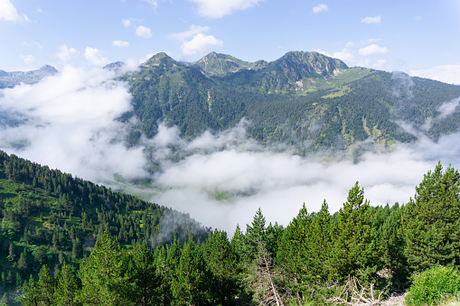 Landscape of the mountains and forests of the Catalan Pyrenees covered in clouds