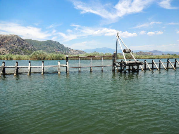 istock Vintage fish barriers on the river to regulate fish spawning 1341400059