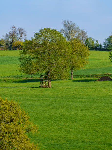 Very small brick construction lost in the middle of green fields
