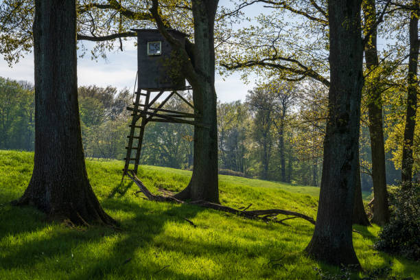 stanowisko myśliwskie w lesie w pobliżu heiligenhaus, niemcy - hunting blind zdjęcia i obrazy z banku zdjęć