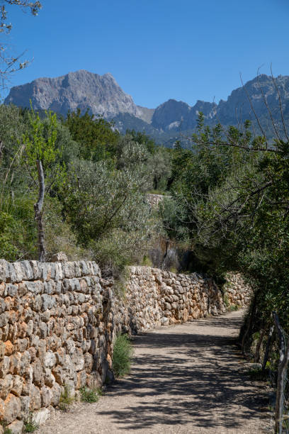 Fornalutx and around Soller, Mallorc