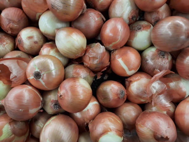 甘い玉ねぎの大きなグループ - ストック写真 - sweet onion ストックフォトと画像