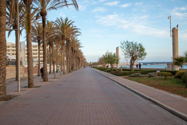 istock at the Beach, Platja de Palma, Mallorca 1341407562