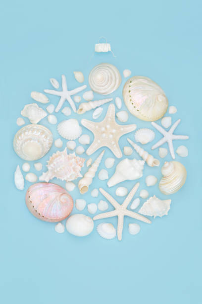 istock Seashell Abstract Christmas Tree Round Decoration 1341407569