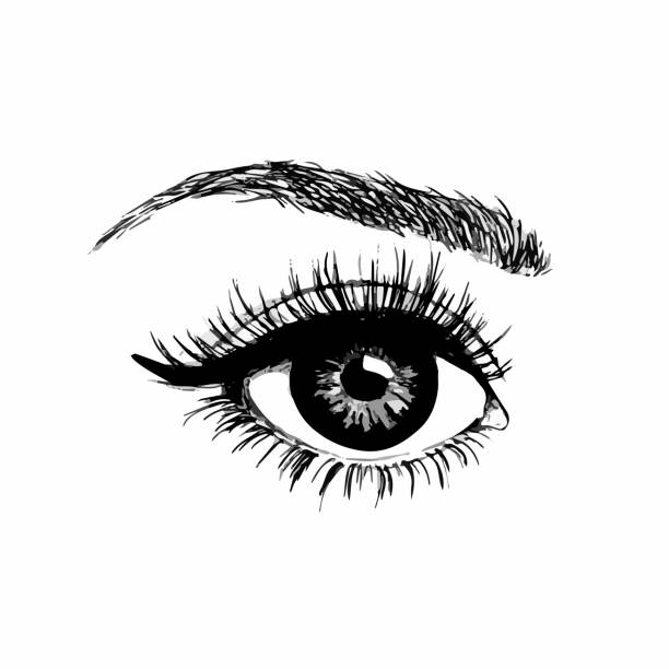 istock Drawn female luxurious eye. Perfect eyelashes and beautiful eyebrow shape. Idea for business card, banner and print. Vector illustration on an isolated white background. 1341407819