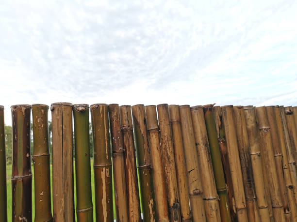 istock Strong bamboo fence against clouds in the sky 1341408955