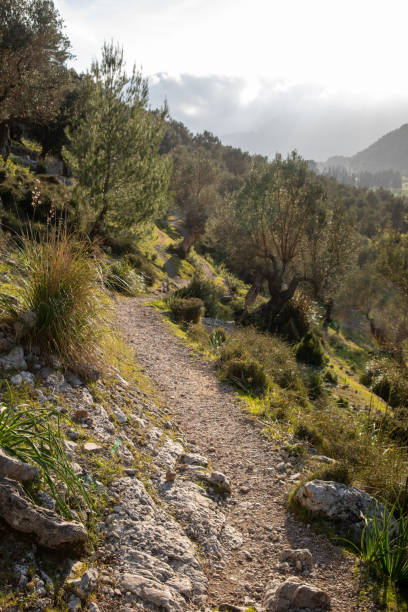 istock Fornalutx and around Soller, Mallorc 1341409042