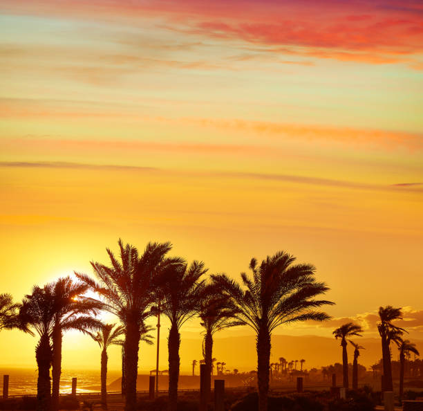 istock Almeria Cabo de Gata sunset in Retamar beach 1341410415