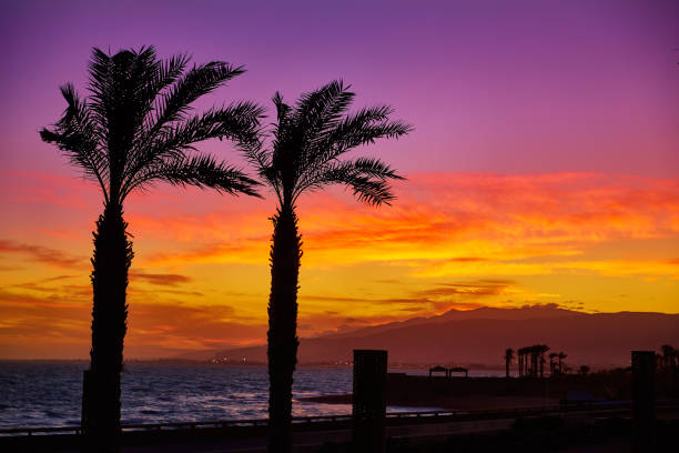 istock Almeria Cabo de Gata sunset in Retamar beach 1341411170