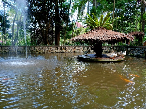 a fountain in the middle of an artificial lake and ducks under the gazebo