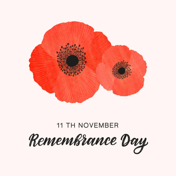Remembrance Day card with red watercolor poppies Remembrance Day minimalistic card. Red watercolour poppies decorated by golden lines as symbol of commemoration. Hand sketch lettering remembrance day. remembrance day background stock illustrations