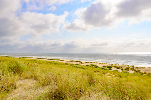 istock Summer in the dunes with clouds drifting over the sea 1341414089