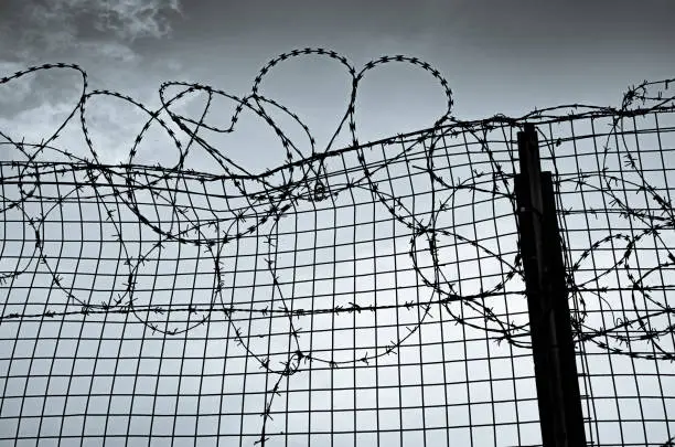 Barbed wire dividing an area into two places rendered in a light selenium tone. Leica M10R with 50mm Apo summicron lens.