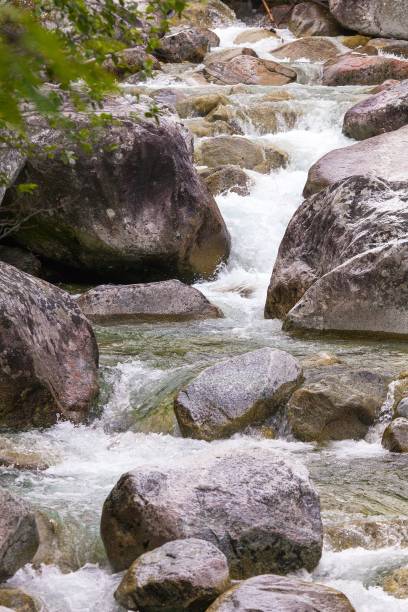 istock Studeny potok in High Tatras mountains, Carpathia 1341414333