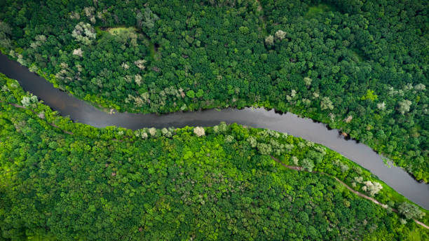 istock Aerial view over the river which is on the green forest. 1341414721