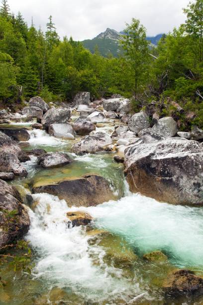 istock Studeny potok in High Tatras mountains, Carpathia 1341415873
