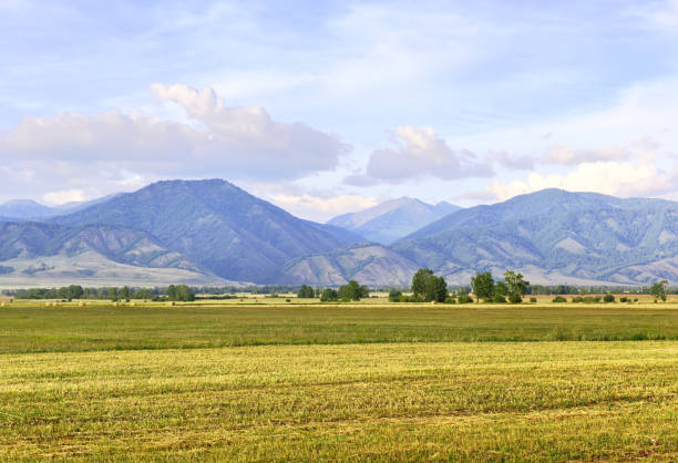 istock A harvested field in the Uymon Valley 1341417275