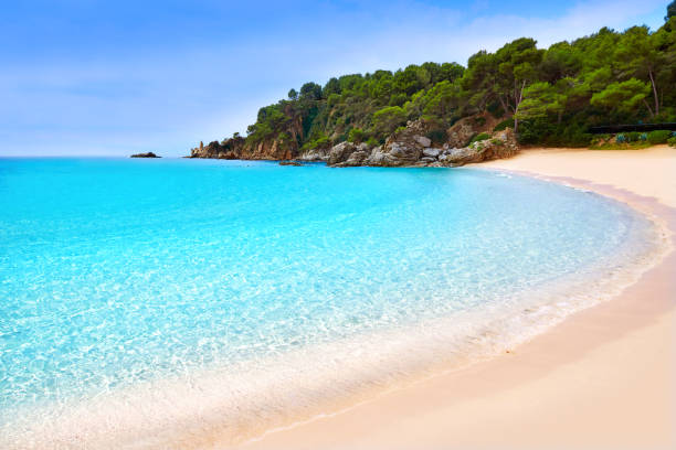 istock Cala Treumal beach Lloret de Mar Costa Brava 1341417711