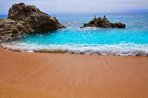 Cala Sa Boadella platja beach in Lloret de Mar of Costa Brava at Catalonia Spain