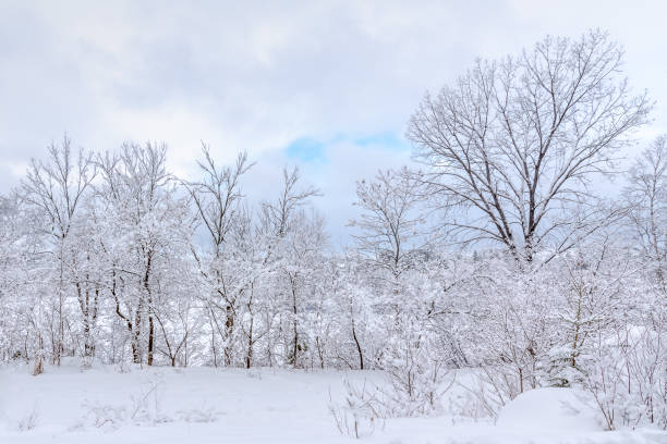 istock superb winter landscapes in Val-David -4 1341419487