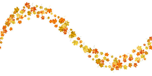 illustrations, cliparts, dessins animés et icônes de fond sans couture vectoriel d’automne - autumn leaf isolated white background