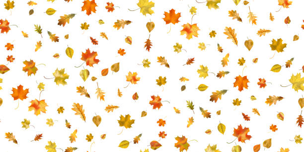 illustrazioni stock, clip art, cartoni animati e icone di tendenza di sfondo vettoriale autunnale senza soluzione di continuità - chestnut autumn september leaf