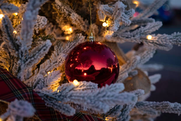 ornamento vermelho em uma árvore de natal reunida - flocked - fotografias e filmes do acervo