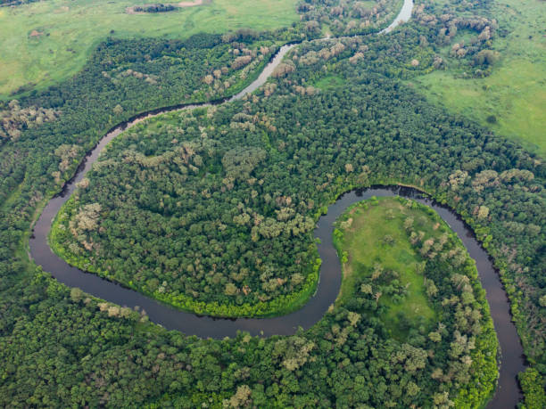 istock Aerial view over the river which is on the green forest. 1341422268