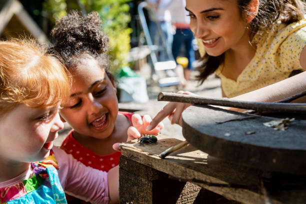 Insect Hotel Exploring