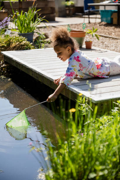 Dipping Net In The Pond