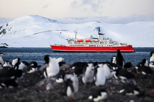View of ship moving in sea with colony of chinstrap penguins on rocky coastline in foreground, Half Moon Island, South Shetland Islands, Antarctica.