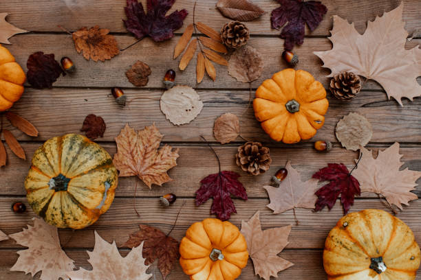 Autumn composition with dried leaves, pumpkins on wooden background. Autumn, fall, halloween, thanksgiving day concept. Flat lay, top view, copy space. Autumn still life stock photo
