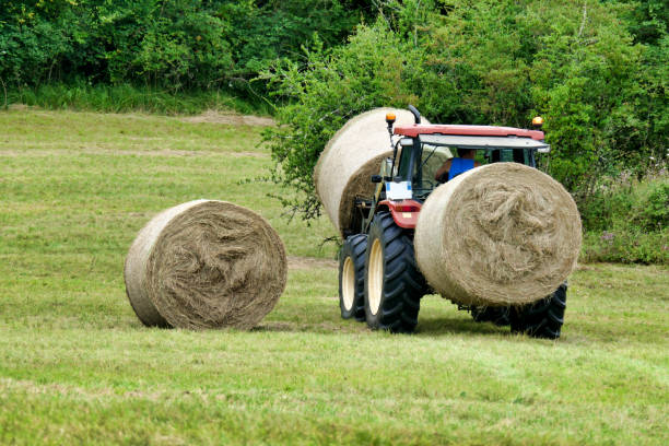 istock Collecting Hay Bales 1341429069