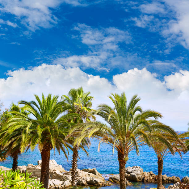 istock Costa Brava beach Lloret de Mar Catalonia Spain 1341429227