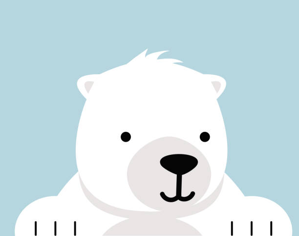 милый белый медведь мультяшный вектор - polar bear young animal isolated cub stock illustrations