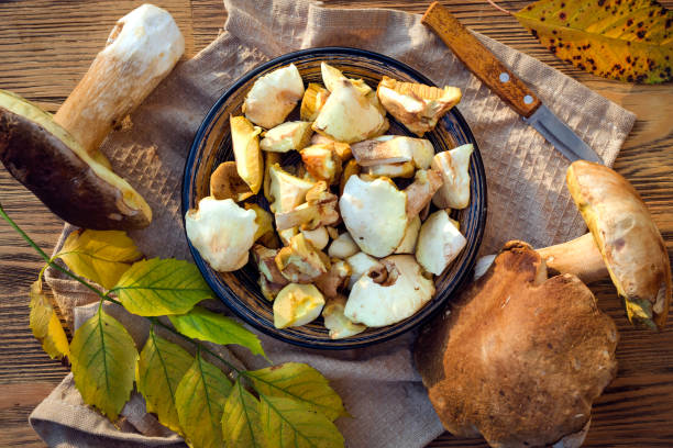 istock Fresh Forest Mushrooms in a Plate 1341431322
